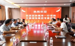 安岳县政协领导考察立泰集团，高度赞扬企业高质量发展