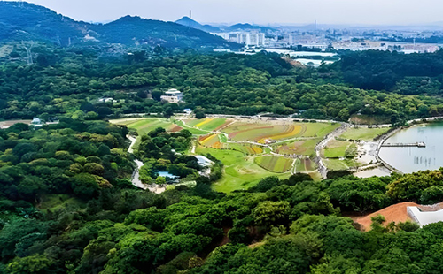 廣東大王山國家森林公園