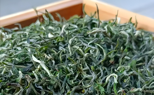 桂平西山茶