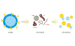 2025年除甲醛国内品牌前十名排行榜！