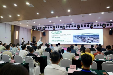 八桂鲜肉乘“丰”鲜出圈，顺丰为广西乡村振兴注入新动能