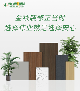金秋裝修季，別讓“骨骼”拖了家的后腿