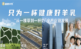 盛健羊乳堅持創(chuàng)新引領(lǐng)，多樣化舉措奠定品牌行業(yè)地位