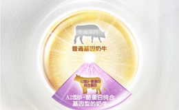 從成分到奶源：什么奶粉比較好吸收？熱門品牌深度解析