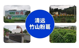 托海：托舉鄉(xiāng)村振興大宏圖，開創(chuàng)藥食同源新藍(lán)海