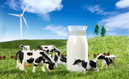 從營(yíng)養(yǎng)到口碑，全方位解讀前十品牌奶粉排名背后的真相