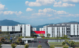 百兴食品百山祖品牌实力跻身行业前十品牌阵营