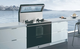 集成灶十大品牌 2025年集成灶生产厂家最新排行&避坑指南 