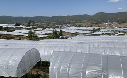 高原昼夜温差大？雷马农膜系列产品助力微小气候种植降本增效