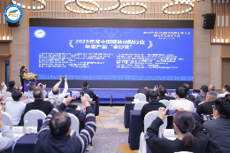 如何選擇靠譜的瓷磚膠企業(yè)？以永蘭金鋼砂瓷磚膠為例的行業(yè)深度解析