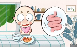 腹泻奶粉排行榜前十位:关键成分解析与品类推荐