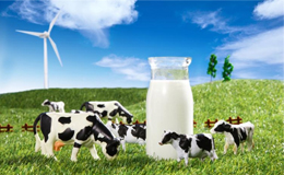 从奶源到配方：深挖国产婴儿奶粉排名前十名，告别选择困难