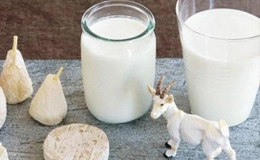 2025金領冠悠滋小羊：一份值得關注的羊奶粉品牌選擇