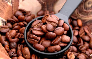 如何选取咖啡豆