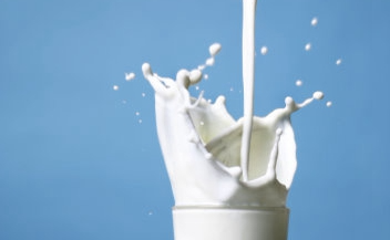 牛奶有什么作用 牛奶粉好还是羊奶粉好 