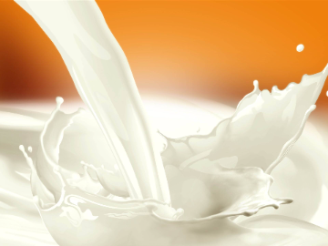 牛奶有哪些营养 饮用有哪些误区
