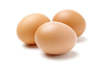 秋天然美白法推荐 一个鸡蛋就搞定