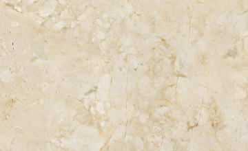 安华瓷砖是几线品牌