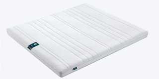 棕榈床垫会生虫吗 如何预防床垫生虫