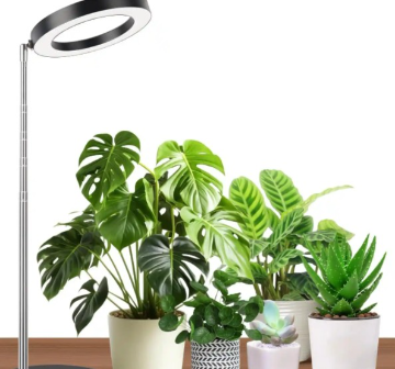 植物灯有哪些类型 植物灯的作用是什么