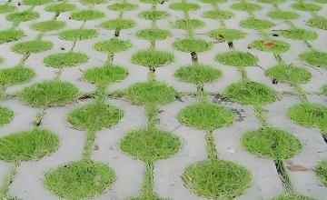 生態(tài)磚是什么材料?生態(tài)磚和透水磚的區(qū)別