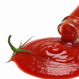 番茄酱十大品牌排行榜