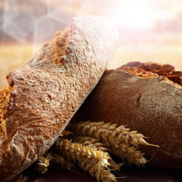 全麦面包十大品牌排行榜
