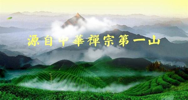 司空山禅茶