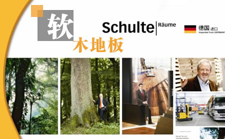 SCHULTE舒尔特