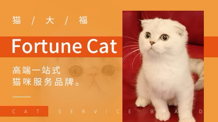 猫大福FortuneCat