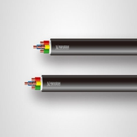 明超電纜交聯(lián)聚乙烯絕緣聚氯乙烯護(hù)套控制電纜