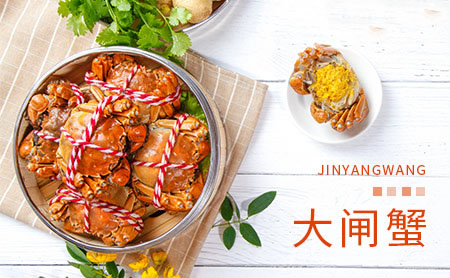 金阳王JINYANGWANG