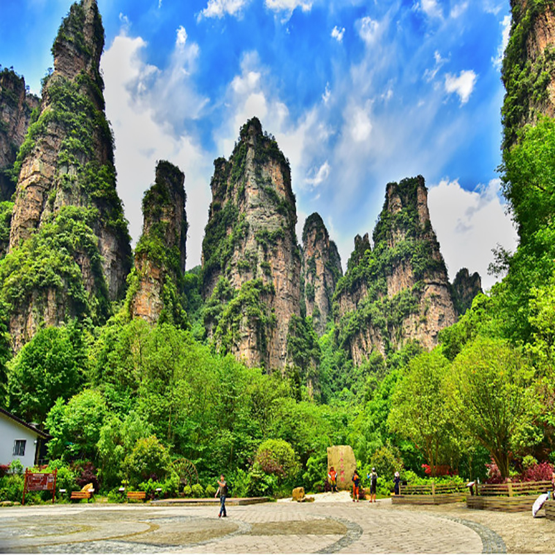 中国十大最美森林公园盘点