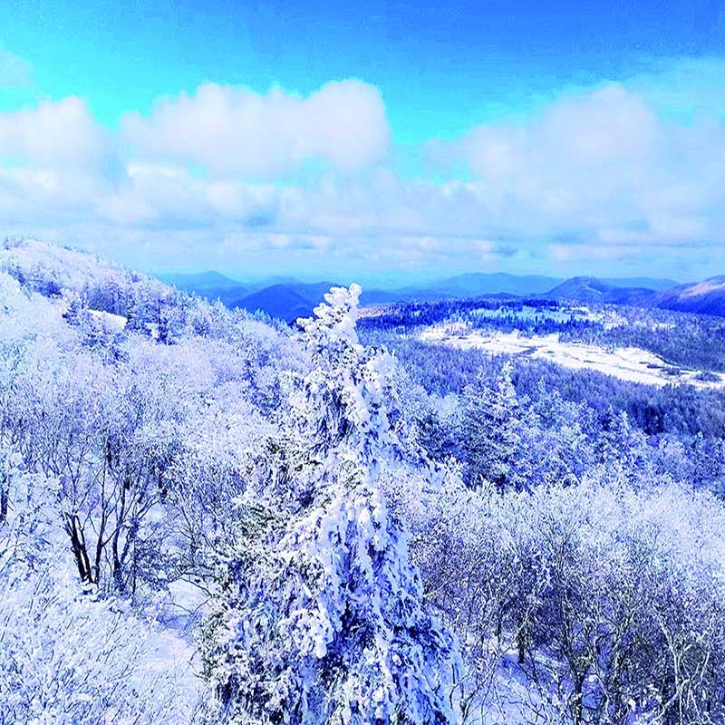 哪里的雪淞最好看 雪淞景观 国内十大雪淞景点