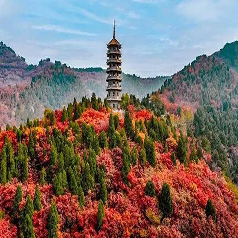 山东十大秋季旅游景点 山东秋季旅游好去处 山东秋天去哪里看红叶最好