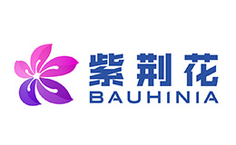 Bauhinia紫荆花