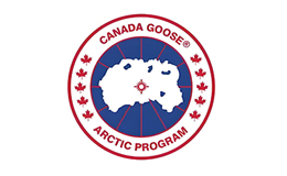 加拿大鹅Canada Goose