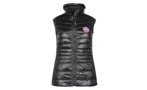 加拿大鹅Canada Goose