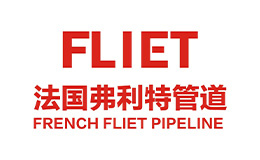 法国弗利特管道