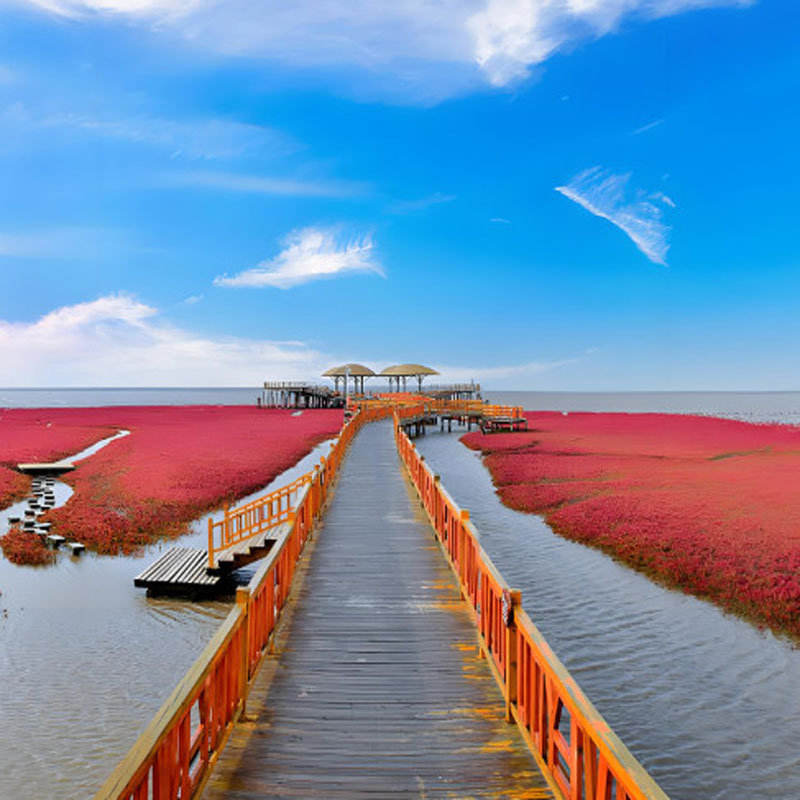 东营3a景区 东营国家级3a景区有哪些 东营国家3a级旅游景区名单大全