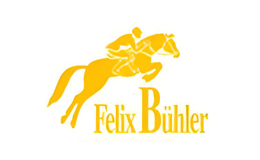 飞力镖马FelixBuhler