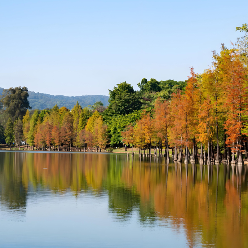 广州五一旅游十大景点 广州五一去哪儿旅游比较好 羊城劳动节好去处