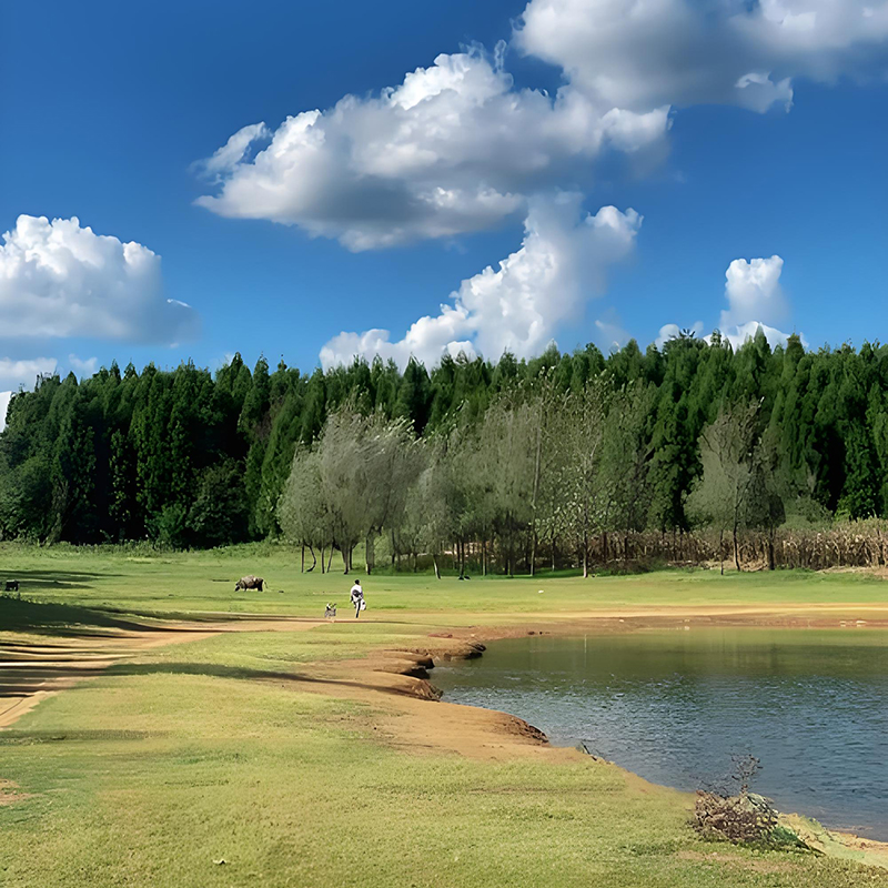 贵阳十大适合求婚的地方 贵阳最佳的求婚地点在哪里