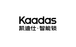 凯迪仕KAADAS