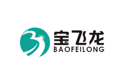 寶飛龍BAOFEILONG