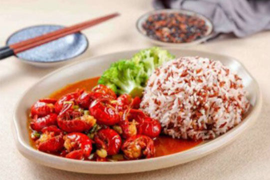 鲜活米仓谷芽饭加盟条件