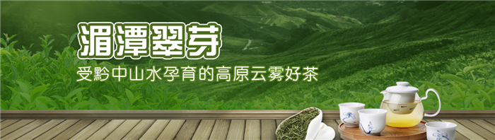 贵州茶资源加盟.jpg