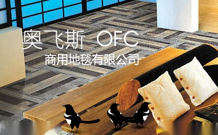 奥飞斯OFC