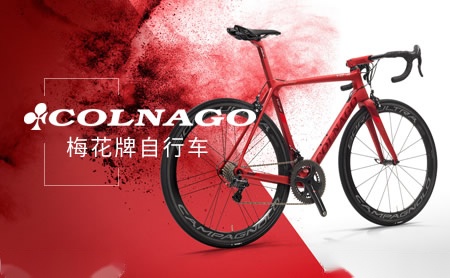 梅花Colnago