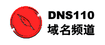 域名頻道DNS110